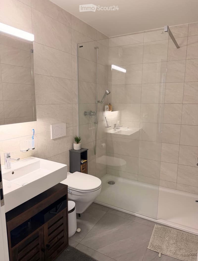 Modern bathroom with a white sink, toilet, and glass-enclosed shower. Features a wooden cabinet, a small plant, and a rug on the floor.