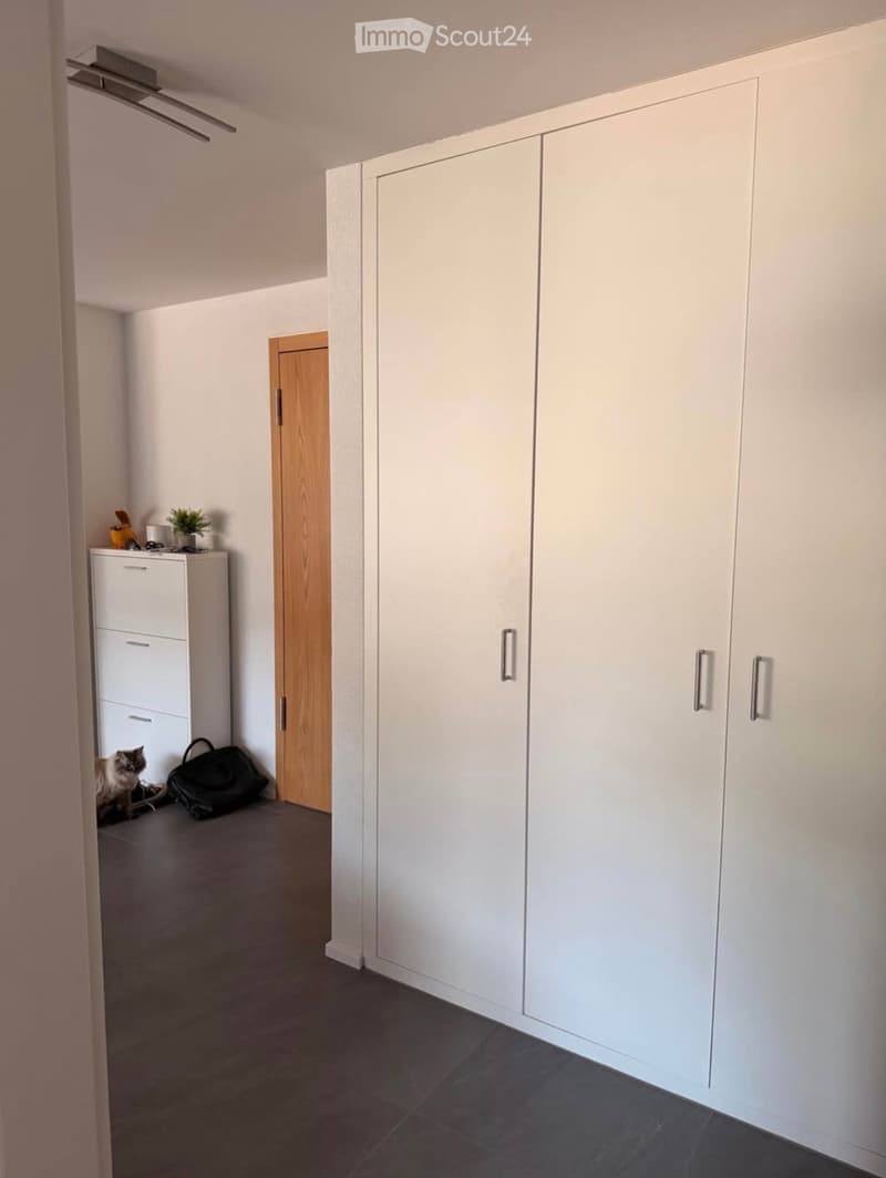 A hallway with white built-in wardrobes, a small refrigerator with a potted plant on top, a cat sitting on the floor, and a black backpack nearby.