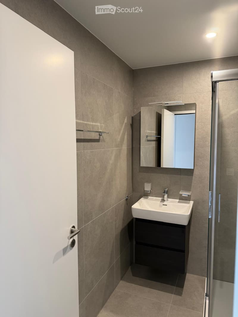Modern bathroom with a white sink, dark cabinet, mirror, and glass shower enclosure.