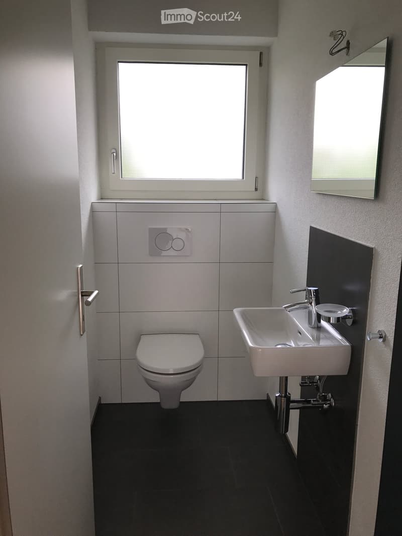 Modern bathroom with white tiles, a toilet, a sink with a chrome faucet, and a large mirror above the sink. The room features a window and a door with a silver handle.