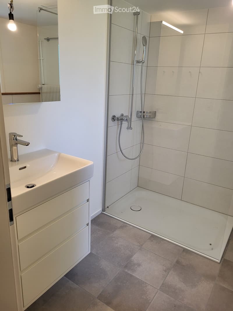 Modern bathroom with a white sink, chrome faucet, mirror, and a glass-enclosed shower with a handheld showerhead and rail.