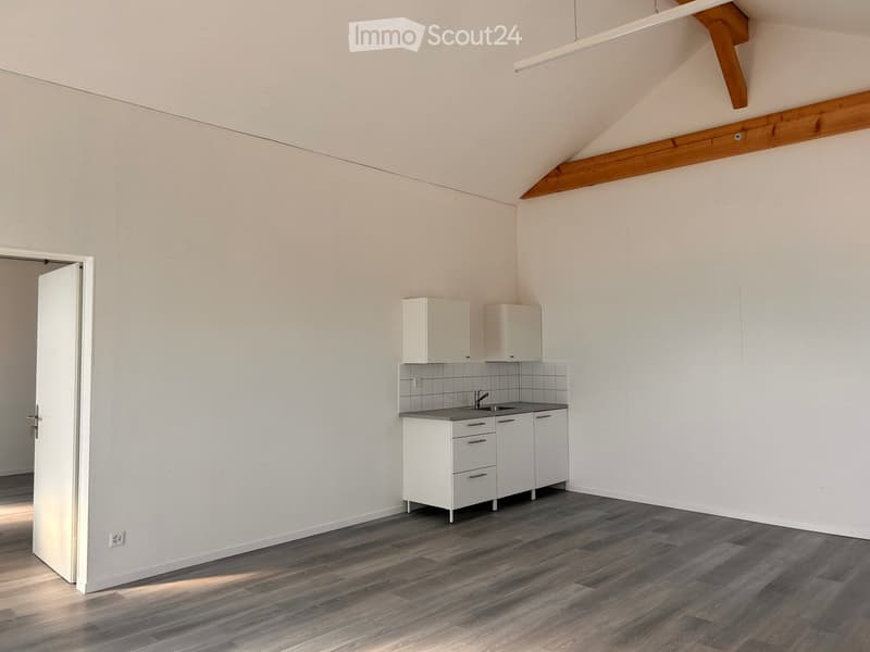 Modern kitchen with white cabinets, a sink, and a dark wooden floor. The space features a sleek design with a minimalist aesthetic.