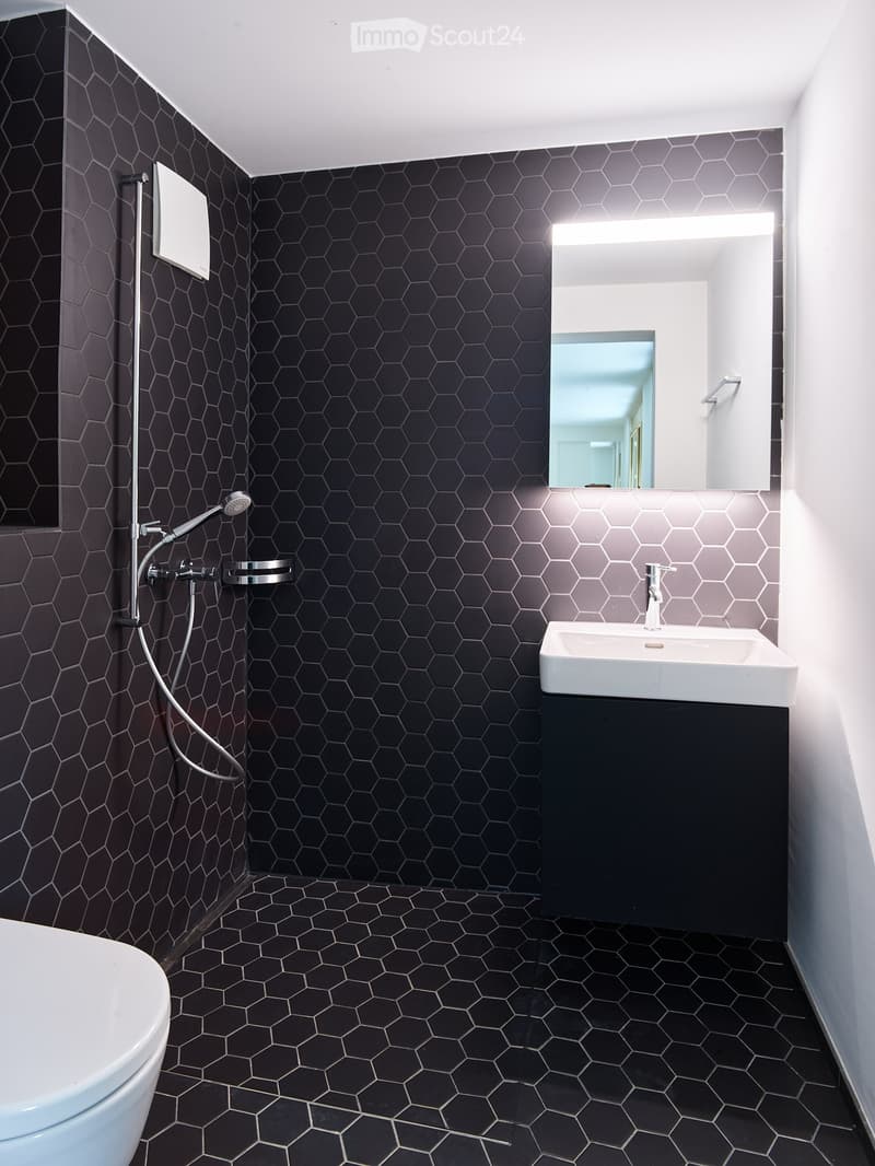 Modern bathroom with hexagonal black tiles on walls and floor, white toilet, sink, and mirror, and a shower area with a handheld showerhead.