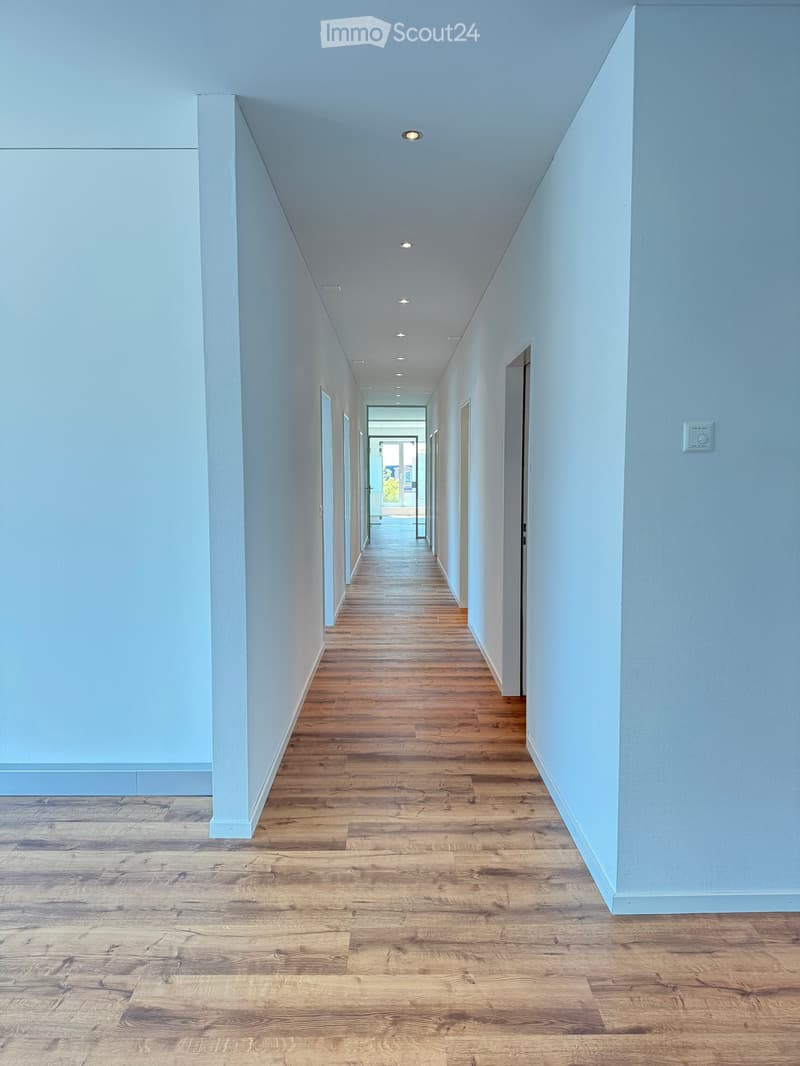 Clean, modern hallway with light blue walls, wooden flooring, recessed ceiling lights, and several doors leading to other rooms.
