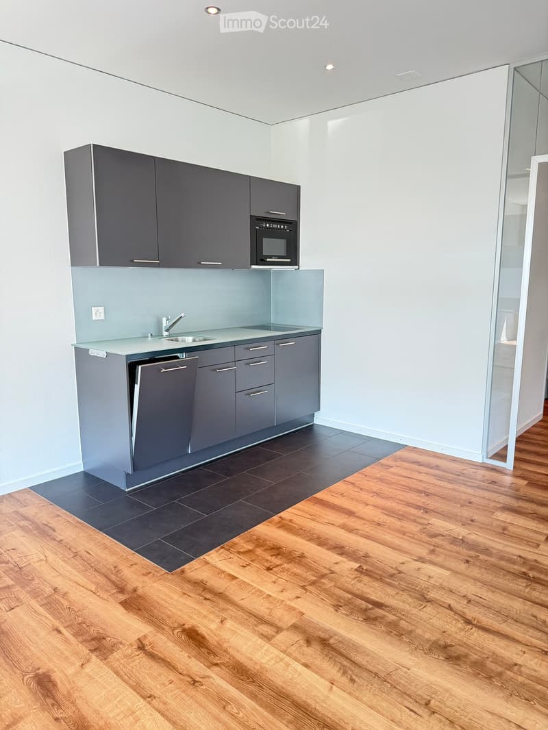 Modern kitchen with grey cabinets, a sink, an oven, and a dishwasher. The floor is a combination of dark tiles and light wooden planks.