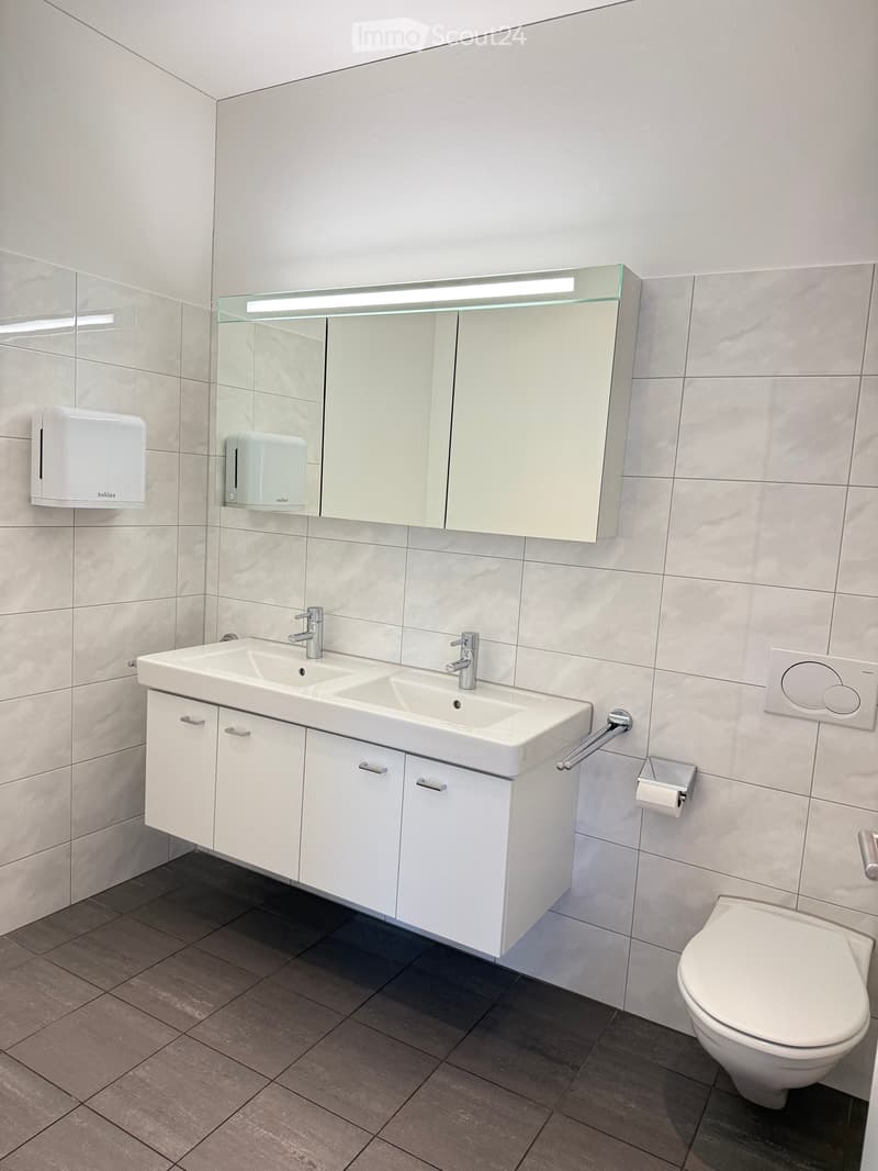 Modern bathroom with a double sink, mirrored cabinet, toilet, and handrail. Light grey tiles and white fixtures.