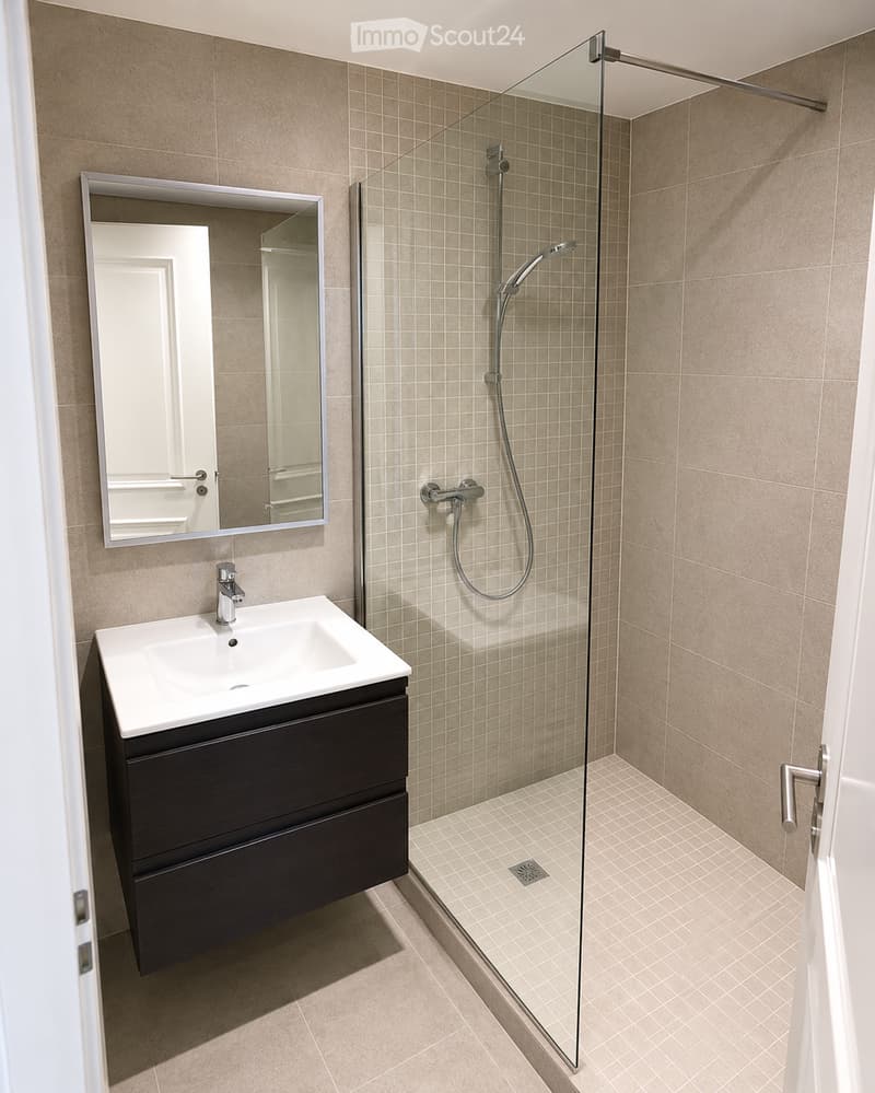 Modern bathroom with a white sink, dark wooden cabinet, large mirror, and glass-enclosed shower with a modern showerhead.