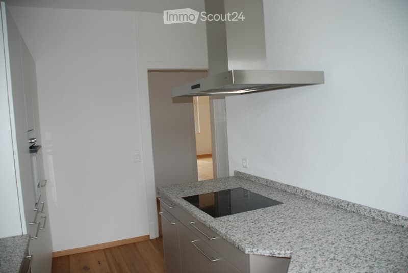 Modern kitchen with granite countertop, induction cooktop, stainless steel range hood, and grey cabinets.