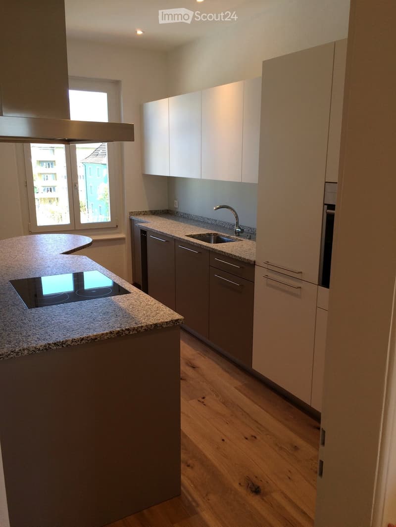 Modern kitchen with light-colored cabinets, granite countertops, wooden flooring, and an induction cooktop island.
