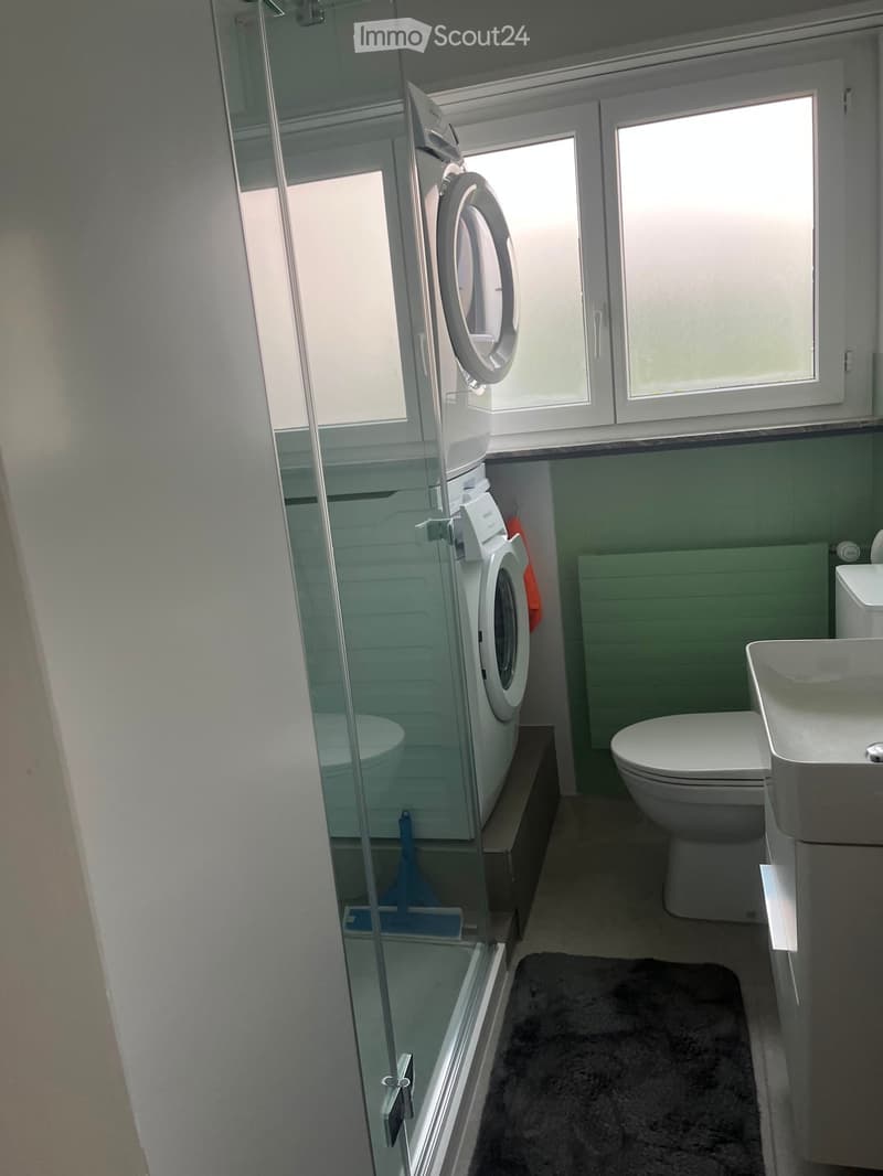 Modern bathroom with a toilet, sink, washing machine, and a glass-enclosed shower area.