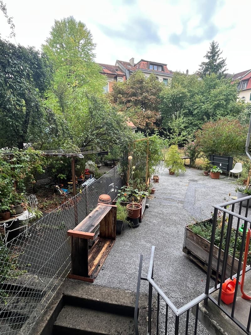 A small, enclosed garden area with gravel ground, wooden planters, potted plants, a wooden bench, and a metal fence. The garden is surrounded by trees and has a view of neighboring houses.