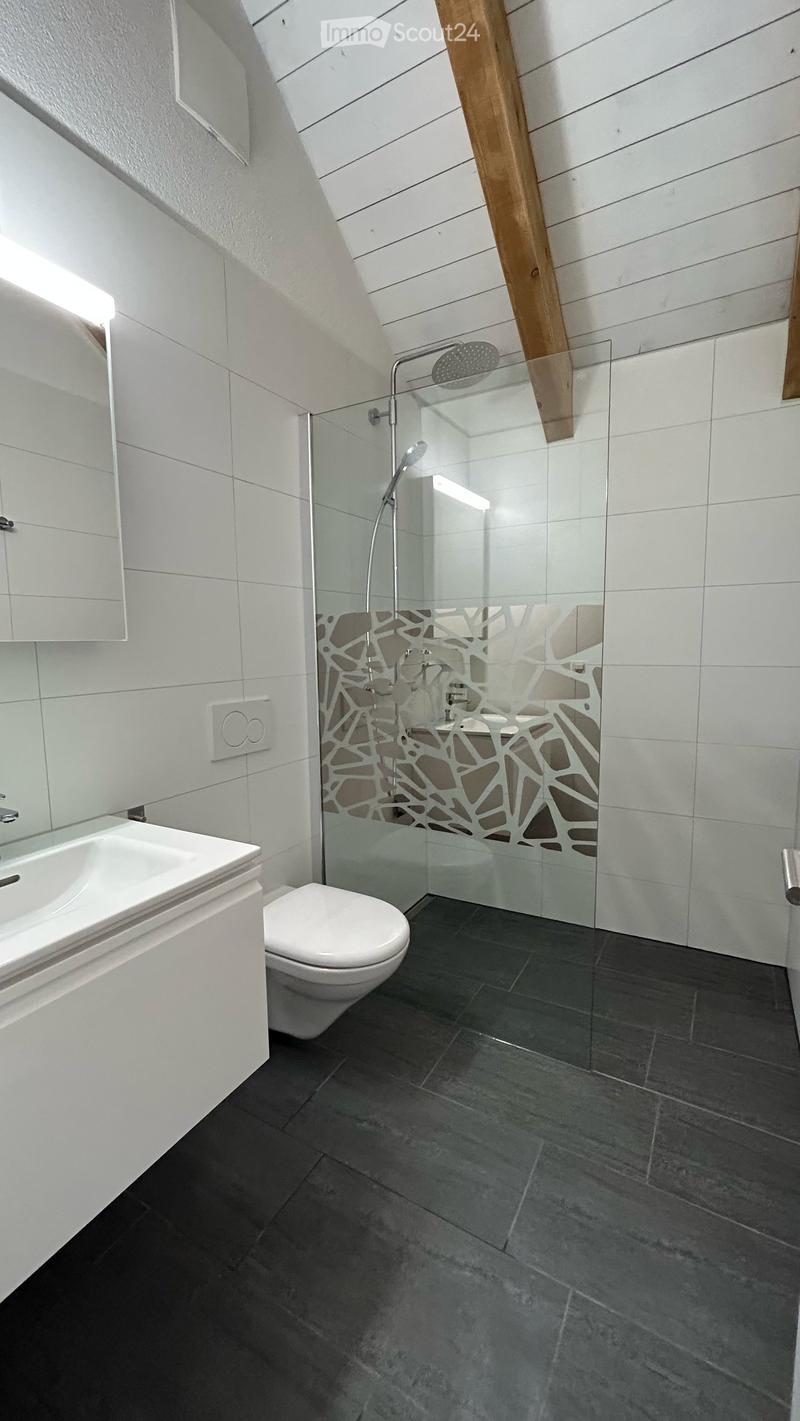 KERNSANIENIERTE UND HOCHWERTIGE 3½-ZI.-WOHNUNG (12)