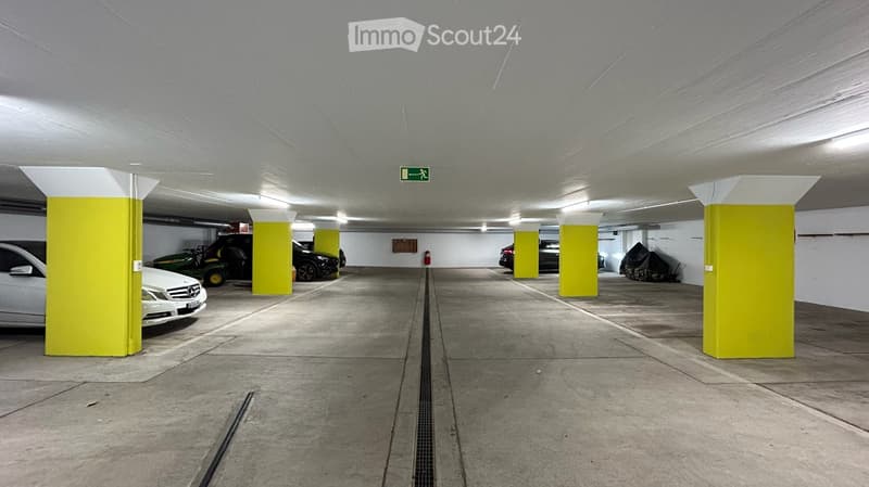 KERNSANIENIERTE UND HOCHWERTIGE 3½-ZI.-WOHNUNG (18)