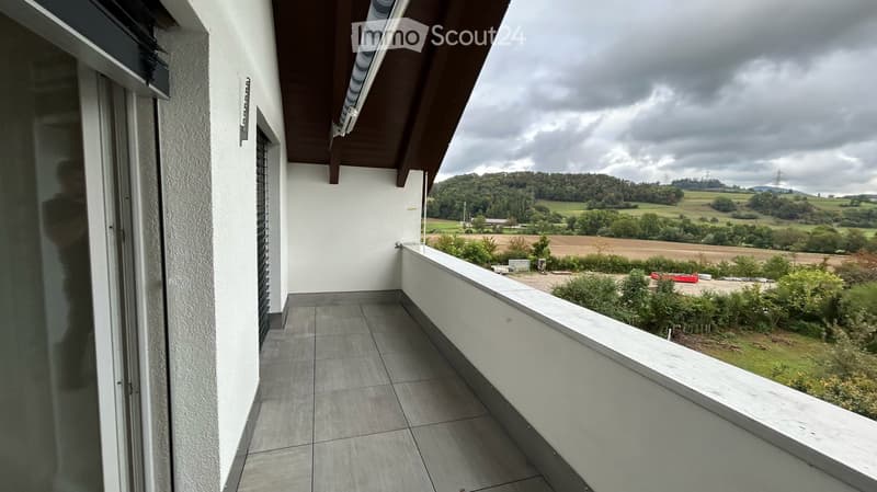KERNSANIENIERTE UND HOCHWERTIGE 3½-ZI.-WOHNUNG (17)