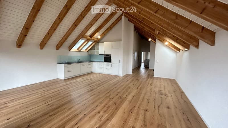 KERNSANIENIERTE UND HOCHWERTIGE 3½-ZI.-WOHNUNG (4)