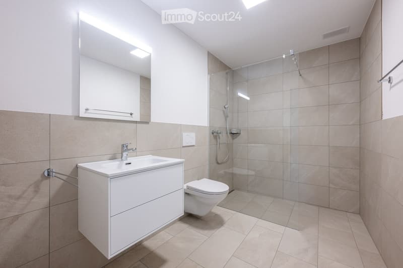Modern bathroom with a white sink, toilet, large mirror, and glass-enclosed shower area.