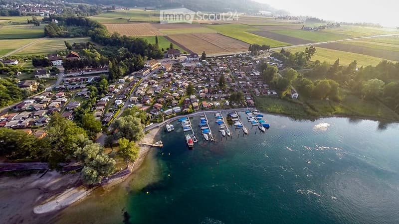 Aerial view of a lakeside residential area with numerous houses, a marina with docked boats, and surrounding green fields and trees.