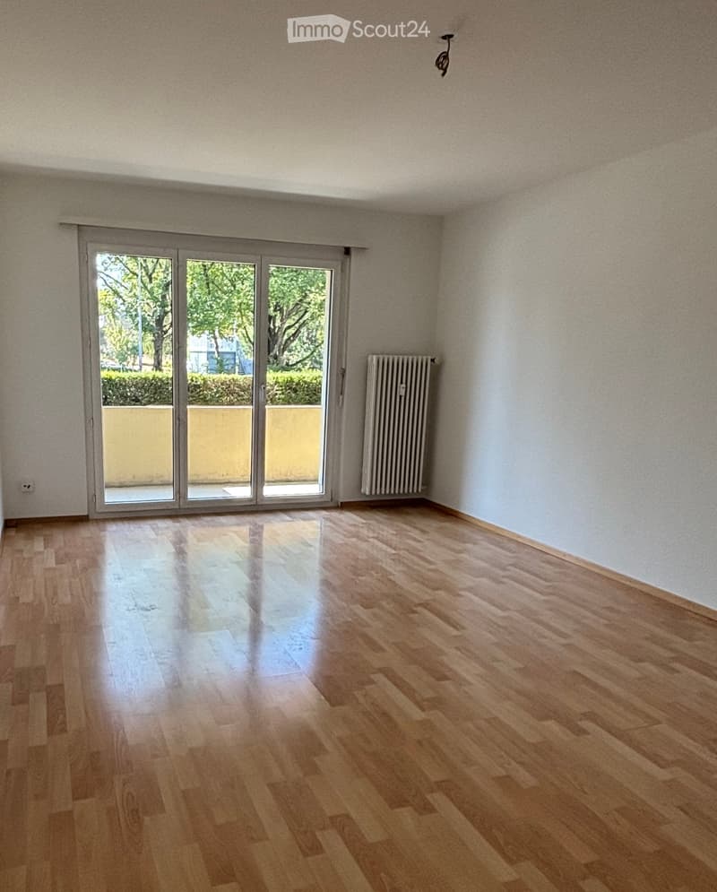 Empty room with wooden flooring, large sliding glass doors leading to a balcony, radiator on one wall, and visible light fixture on the ceiling.