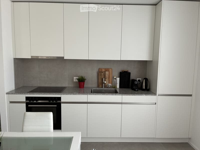 Modern kitchen with white cabinets, grey countertops, and stainless steel appliances. Includes a sink, oven, coffee maker, teapot, and a small potted plant on the counter.