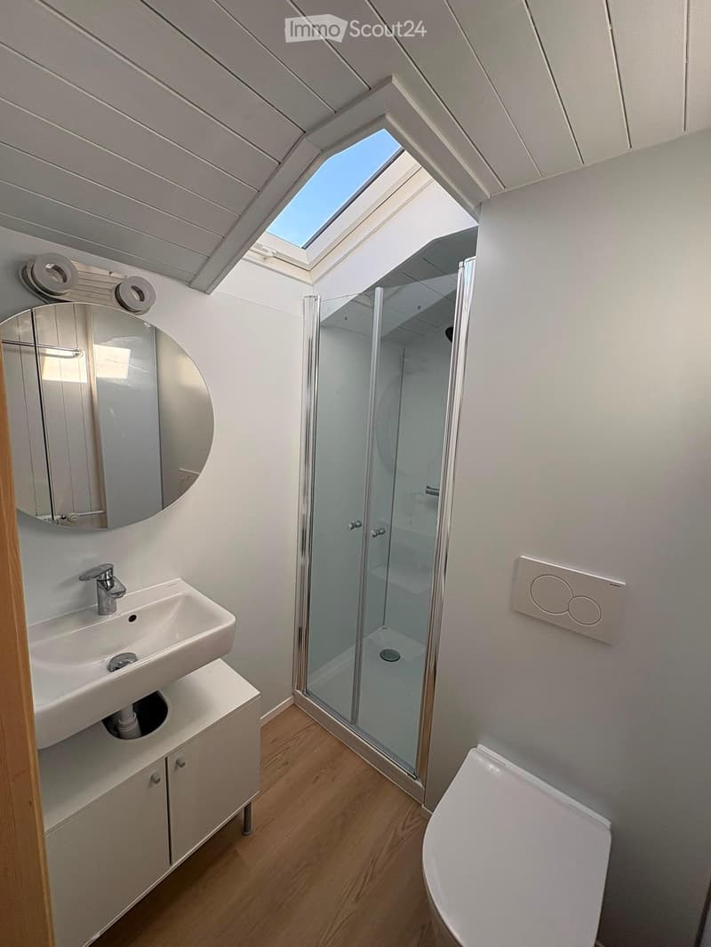 Modern compact bathroom with a white sink, mirror, toilet, and glass-enclosed shower. Features a skylight window and wooden flooring.