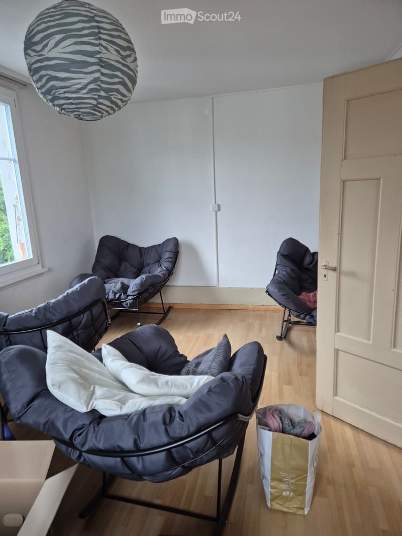 A modern living room with wooden flooring, large windows, and several comfortable chairs, including a bean bag chair and a hanging balloon chair. There is a handbag on the floor near the door.