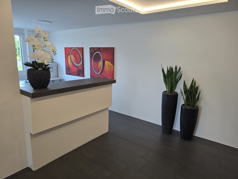 Modern hallway with dark tiled floor, white walls, reception desk, two vases with plants, and two abstract paintings.