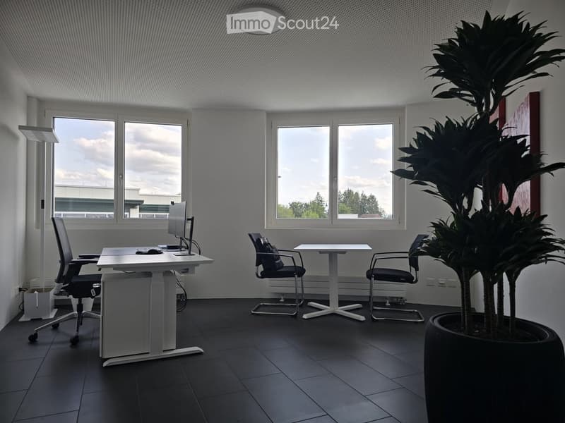 Modern office space with large windows, a desk with a computer, chairs, a small meeting table, and a large potted plant.