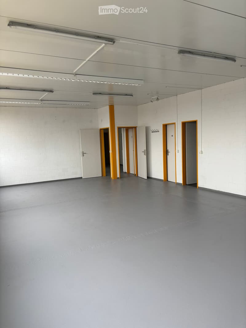 An empty room with white walls and gray flooring, four white doors with yellow accents, and fluorescent ceiling lights.