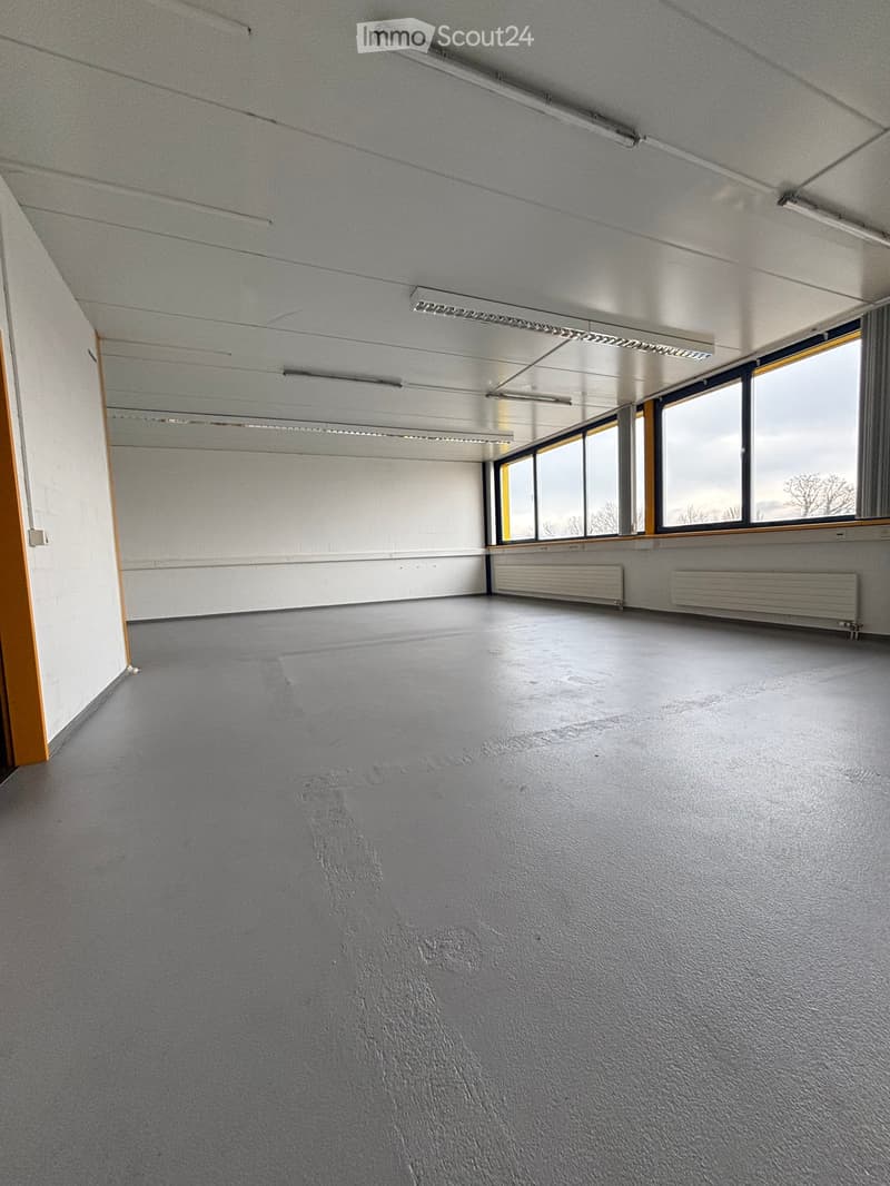 Empty room with white walls, grey floor, multiple windows, and ceiling lights.