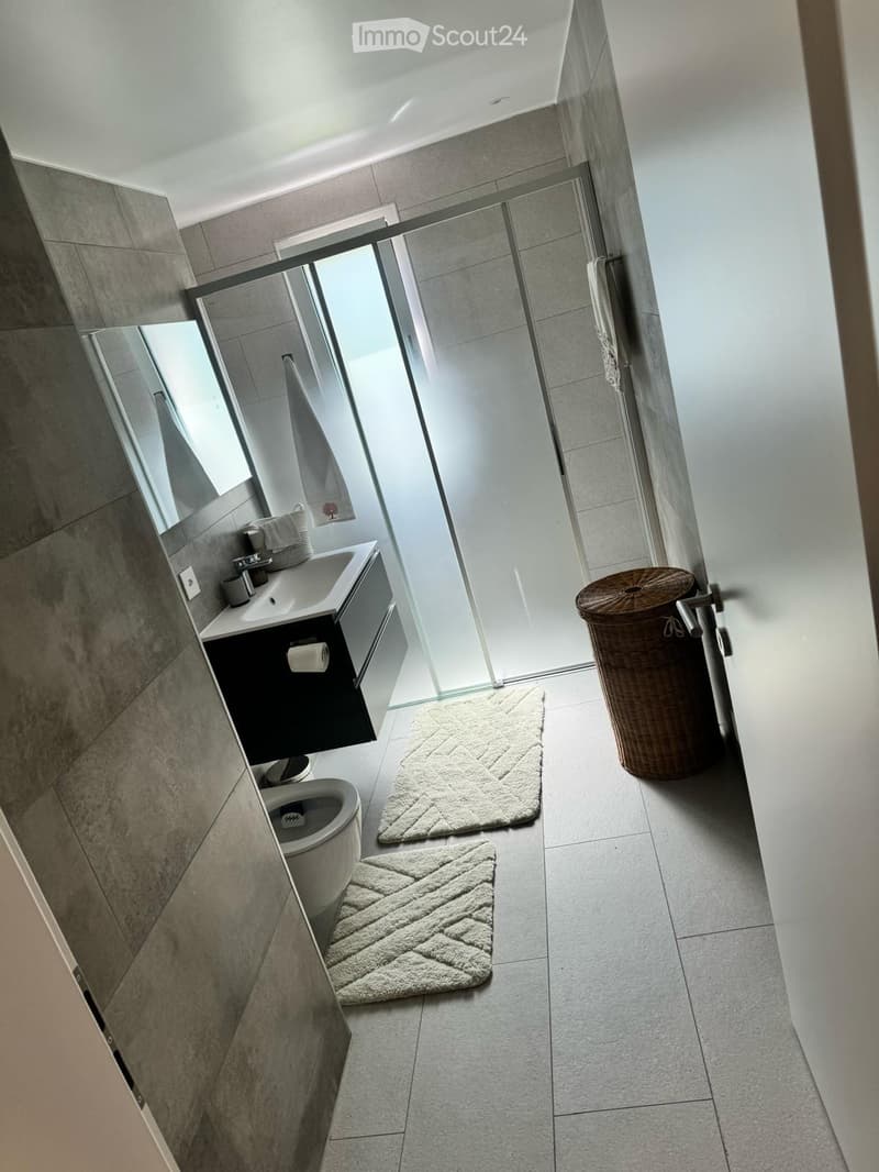 Modern bathroom with a glass-enclosed shower, sink, toilet, and two plush rugs on the floor.