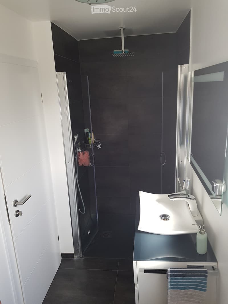 Modern bathroom with dark tiles, white sink, mirror, and shower area. Includes a towel and soap dispenser on the sink counter.