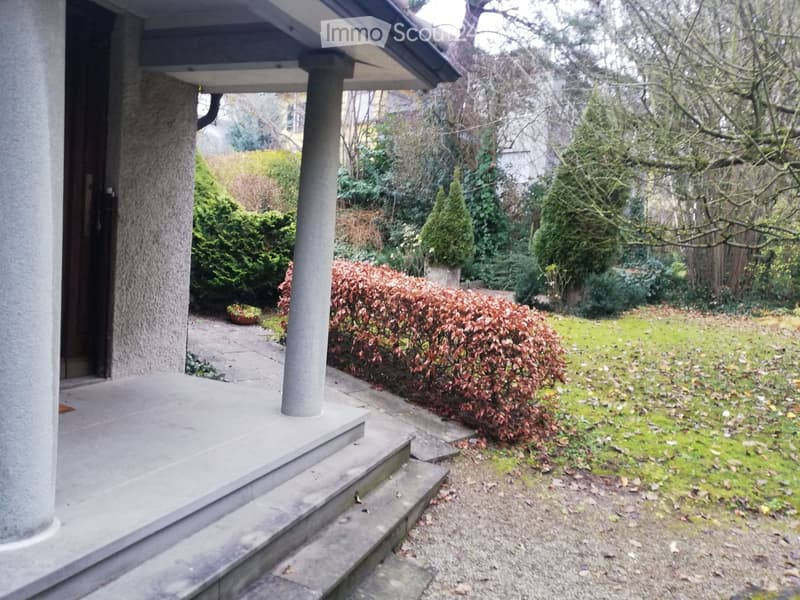 Garden area with a concrete porch, steps, trimmed bushes, and a grassy lawn.