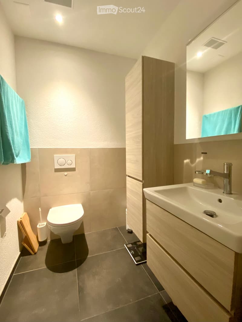Modern bathroom with a toilet, sink, and mirror. Features a wooden vanity cabinet, a towel hanging on the wall, and a small shelf with a soap dispenser.