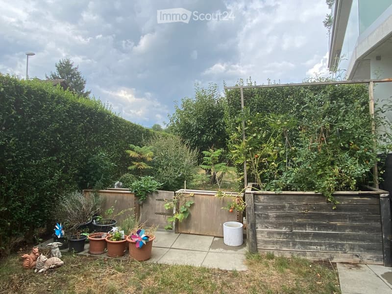 Garden area with wooden raised beds, potted plants, decorative items, and a small pathway.