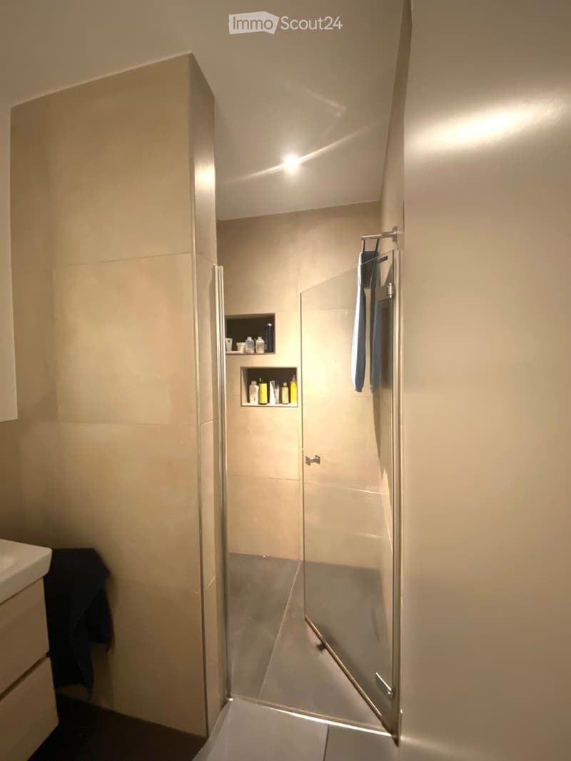 Modern bathroom with a glass-enclosed shower, built-in shelves, and a towel rack. The shower has a sleek, contemporary design with a glass door and a built-in seat. The walls are light-colored, and the floor is tiled.