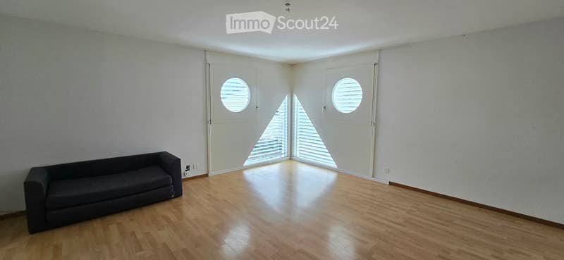 Minimalist living room with a dark grey sofa, wooden floor, and large white sliding doors with round windows.