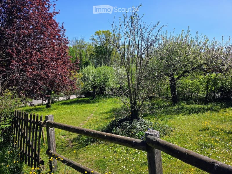 A grassy garden area enclosed by a wooden fence, with wildflowers, trees, and shrubs visible.