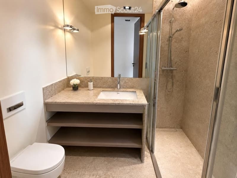 Modern bathroom with a single sink, toilet, and glass-enclosed shower. Features include a large mirror, built-in storage shelves, and a small flower vase on the sink counter.