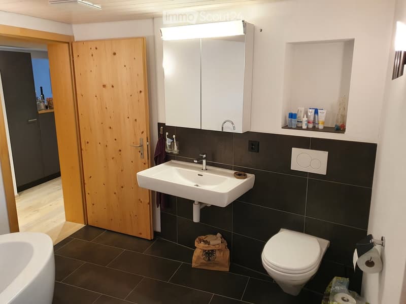 Modern bathroom with dark tiled walls and floor, white sink, mirror cabinet, toilet, and various toiletries on a shelf. A wooden door leads to another room.