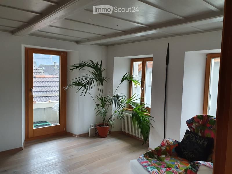 Bright living room with wooden flooring, large windows, a sofa with colorful patchwork quilt, potted plant, radiator, and view of the roof.