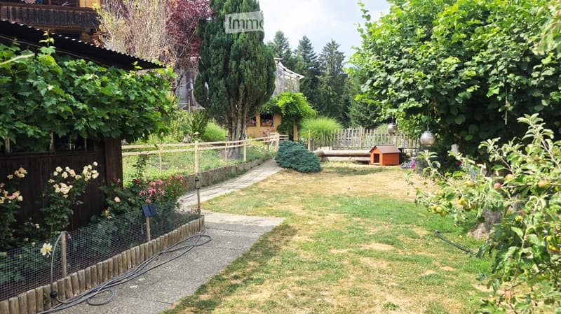 A well-maintained garden with a paved pathway, grassy area, wooden fence, and various plants and trees. A small doghouse is visible in the background.
