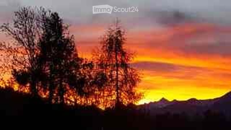 A serene outdoor scene at sunset, featuring silhouetted trees against a vibrant orange and pink sky, with distant mountains visible.