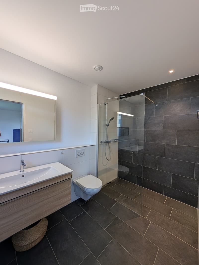 Modern bathroom with a large sink, toilet, glass-enclosed shower, and a large mirror with built-in lighting.