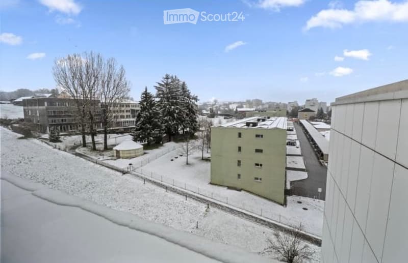 Winter view of a residential area with snow-covered ground, several buildings, trees, and a small gazebo.