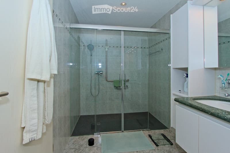 Modern bathroom with a glass-enclosed shower stall, a white sink with a countertop, and a towel hanging on the wall. The shower features a handheld hose and a fixed showerhead.