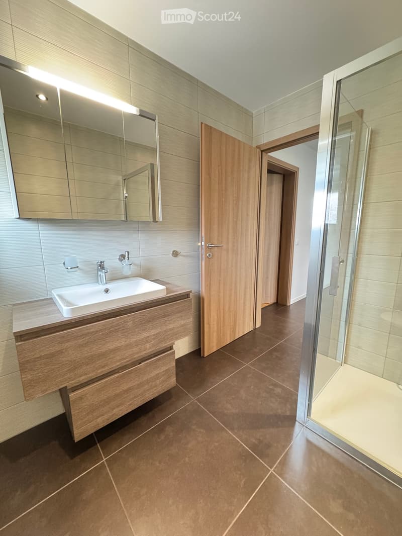 Modern bathroom with a wooden vanity, white sink, mirror, and glass shower enclosure.