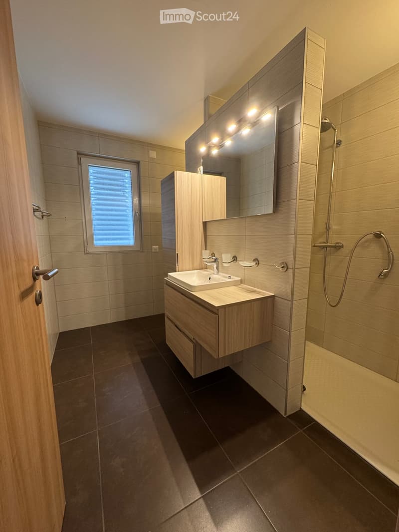 Modern bathroom with a white sink, wooden cabinet, large mirror, and a shower area with a glass enclosure.