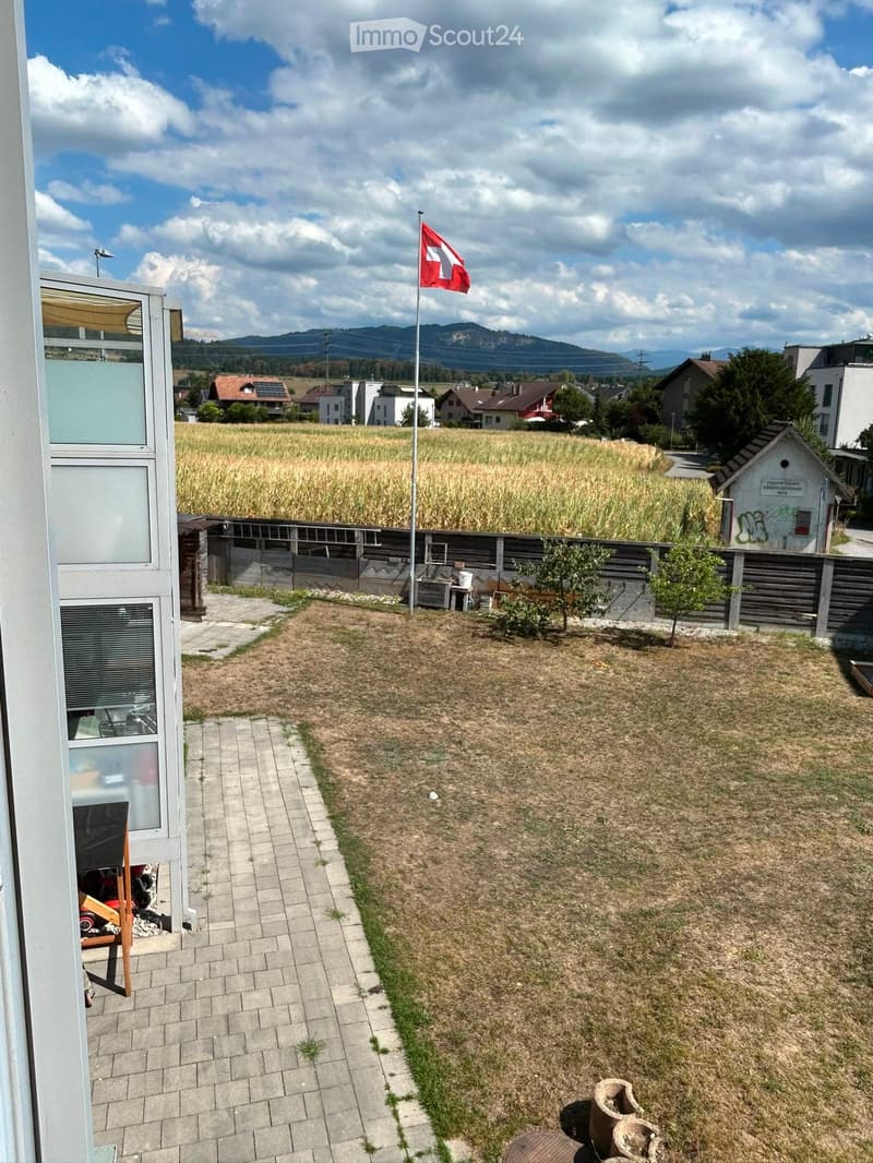 Backyard with dry grass, small trees, a wooden fence, and a Swiss flag on a pole. The area includes a paved pathway and a small shed.