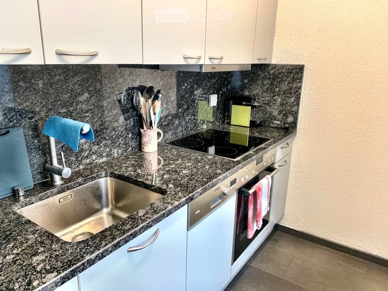 {"type": "Kitchen", "objects": ["sink", "faucet", "oven", "electric stove", "cup", "faucet", "oven", "faucet", "oven", "cup", "oven", "oven", "oven", "oven", "oven", "oven", "oven", "oven", "oven", "oven", "oven", "oven", "oven", "oven", "oven", "oven", "