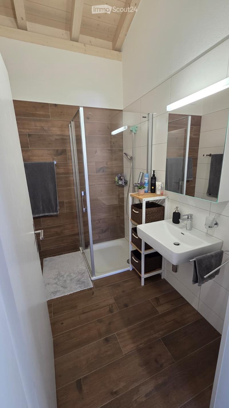 Modern bathroom with wooden flooring, a white sink, a large mirror, a glass-enclosed shower, and a small storage shelf holding toiletries.